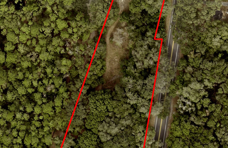 Aerial view of a wooded parcel outlined in red beside two roads.